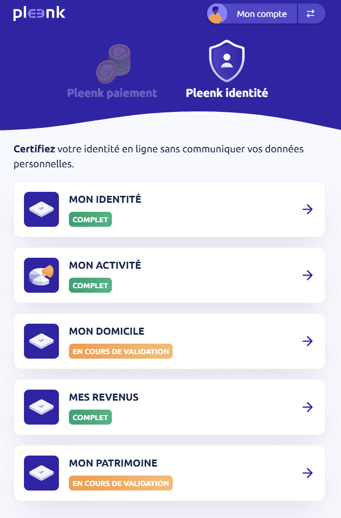 Pleenk Identity